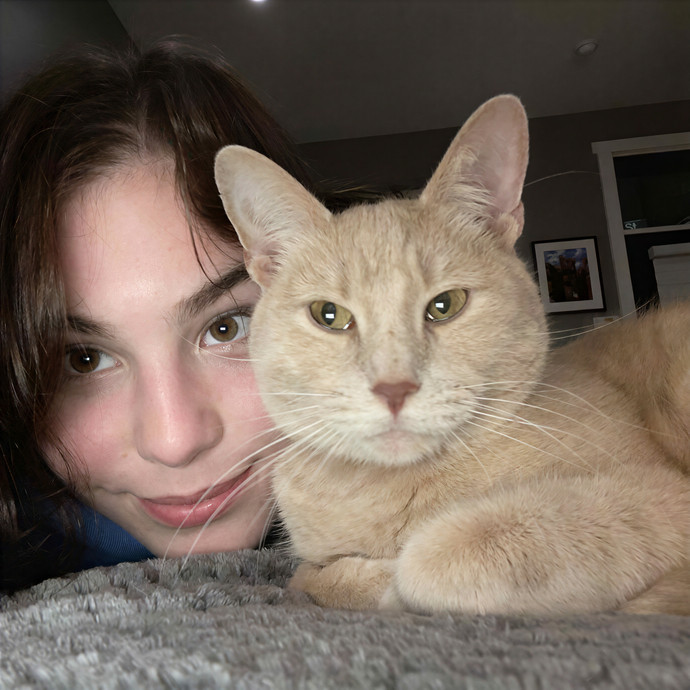 Morgan's Cat Care Central