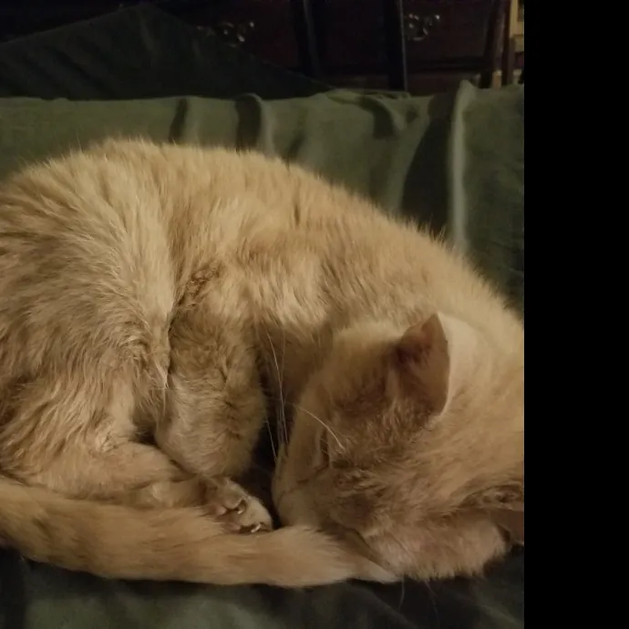 Kitty Love Virginia Bch