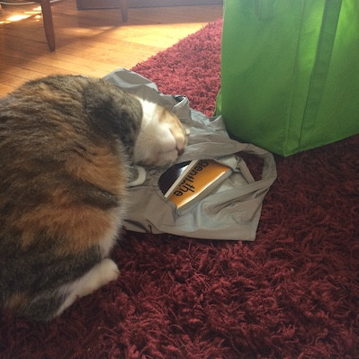 Thea The Cat Au Pair