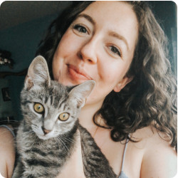 Marissa's Purrfect Pals Nyc Cat Sitting