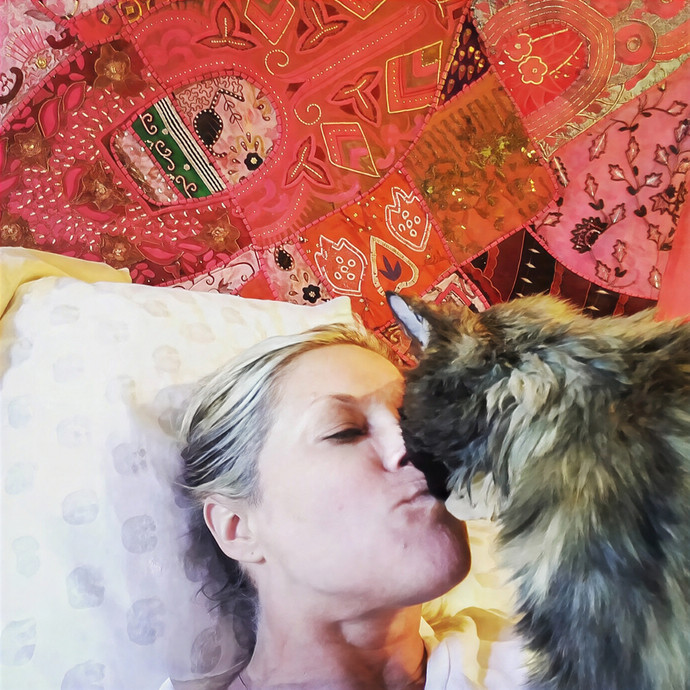 Professional Kitty Nose Booper photo 2