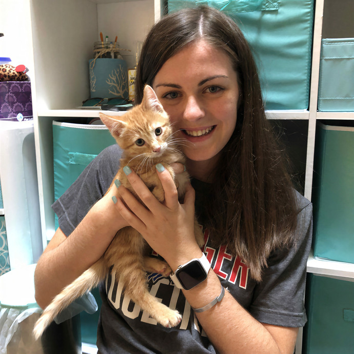 Katherine's Purrfect Cat Sitting