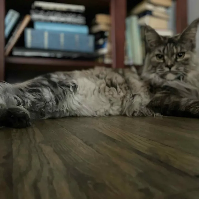 Tulsa Furriends