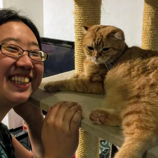 Reliable Cat Sitter For Your Furbaby Nyc