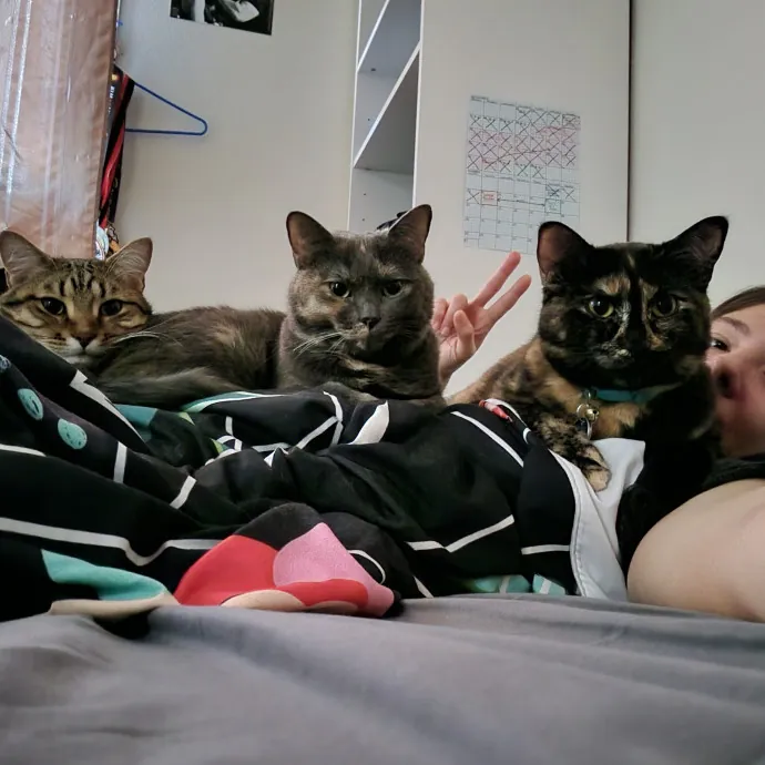 Happy Toe Beans Pet Sitting