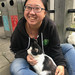Reliable Cat Sitter For Your Furbaby Nyc