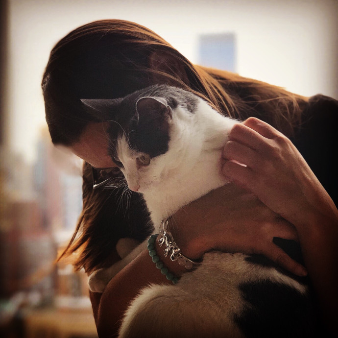 Just Wanna Hang With Cats