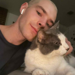 Rory Cat Concierge