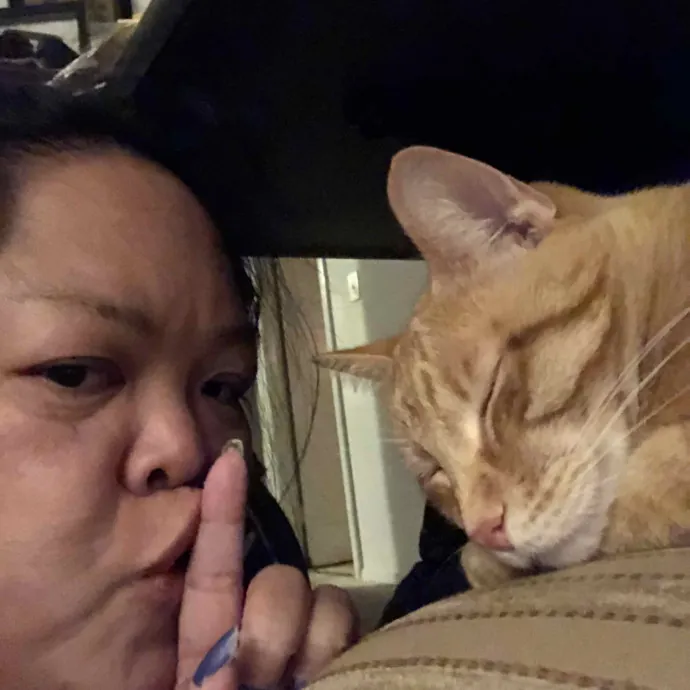 Noreen Crazy Cat Ladysf