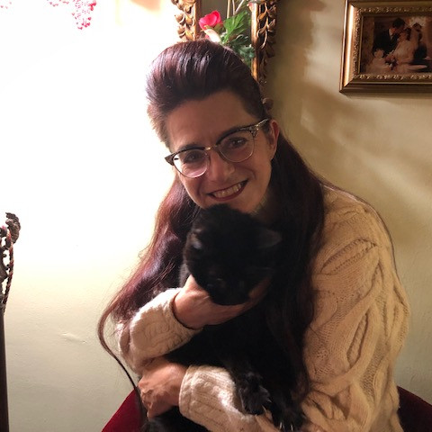 Miss Anne's Kitty Care
