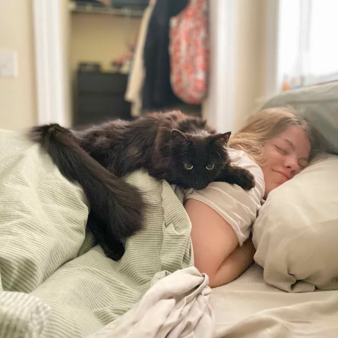 The Wright Cat Service