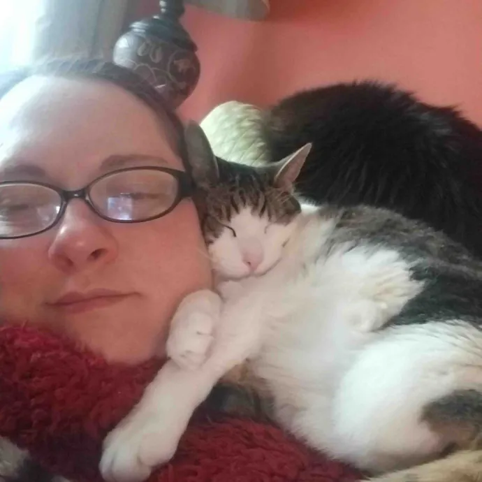 Emily's Cat Care Housecalls photo 2