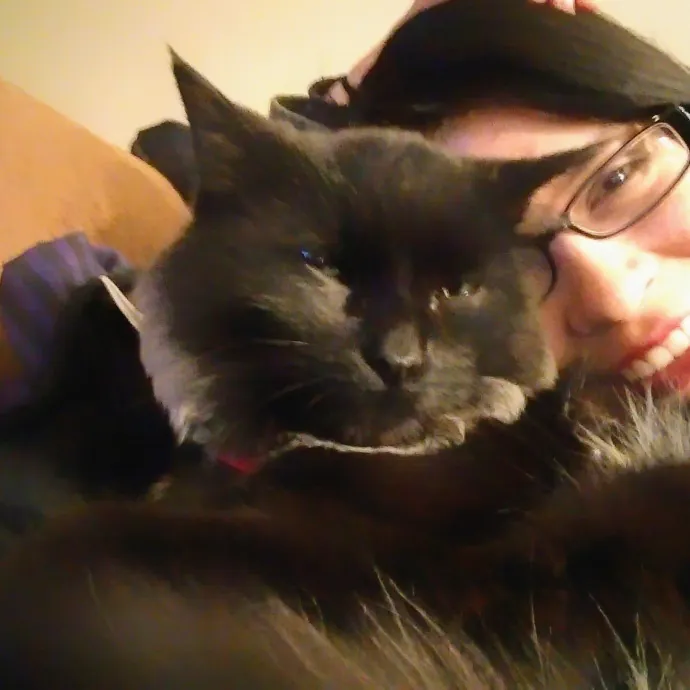 Cat Lover At Your Service photo 3