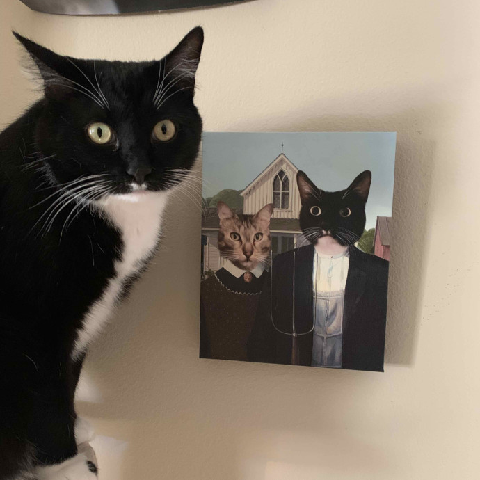 Pharaoh's Watch Cat