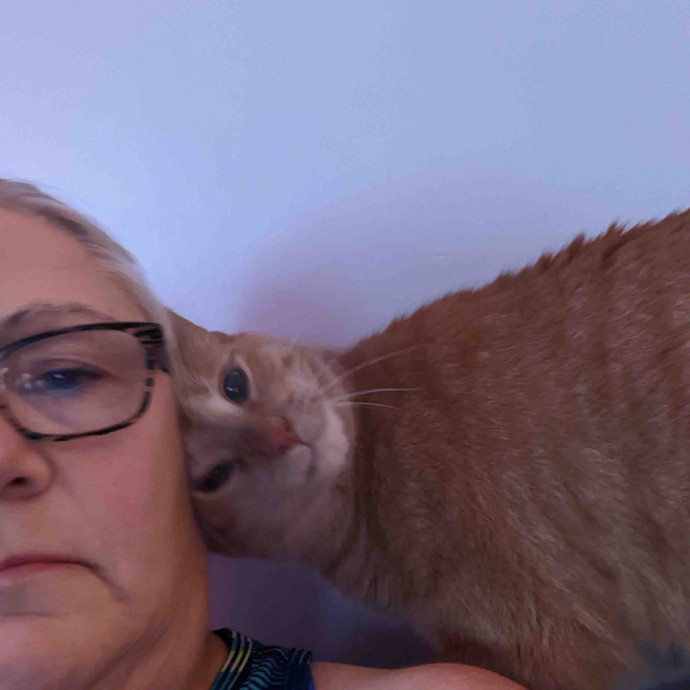 Teresa's Cat Whispering Services
