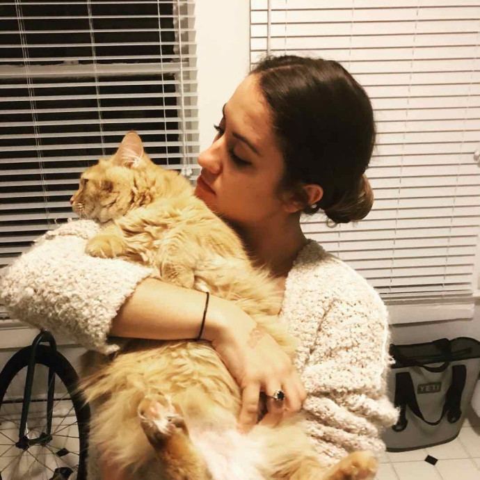 Taylor's Top Notch Kitty Sitting