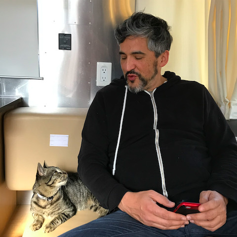 Bay Cat Sitter