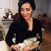 Cortney's La City Kitty Cat Sitting