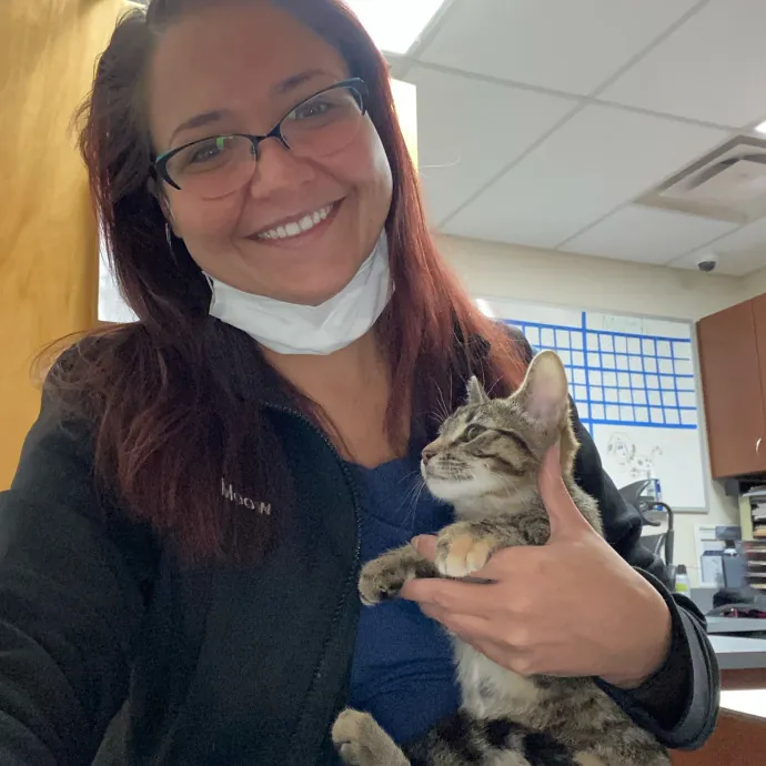 Toe Beans Cat Sitting Of Metro Detroit