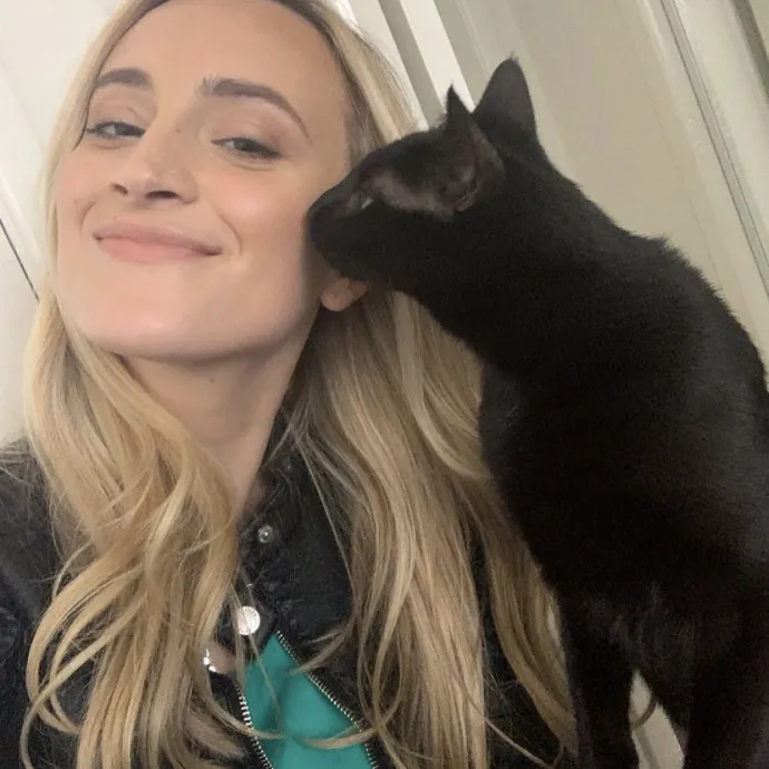 Danielle's Cat Oasis photo 2