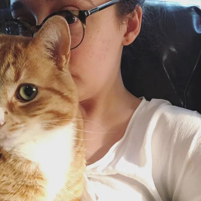 Katharine's Su-Purr-Ior Cat Care