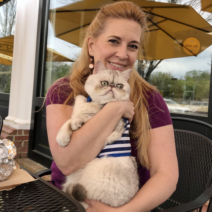 Kathleen's Kitty Care Huntersville