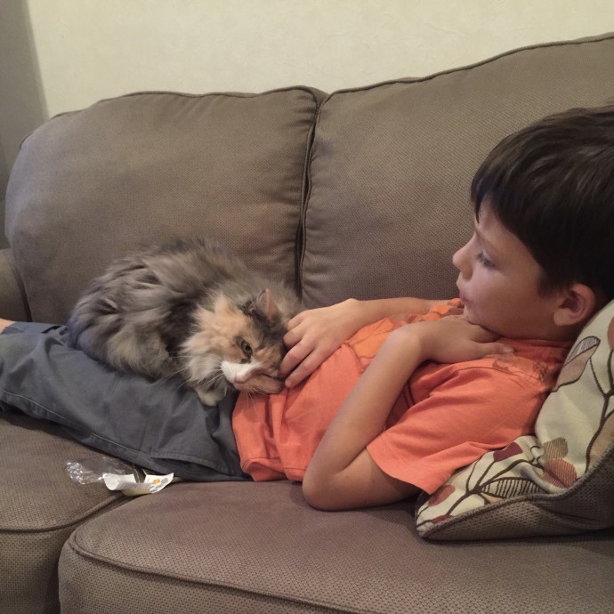 Family Critter Sitters