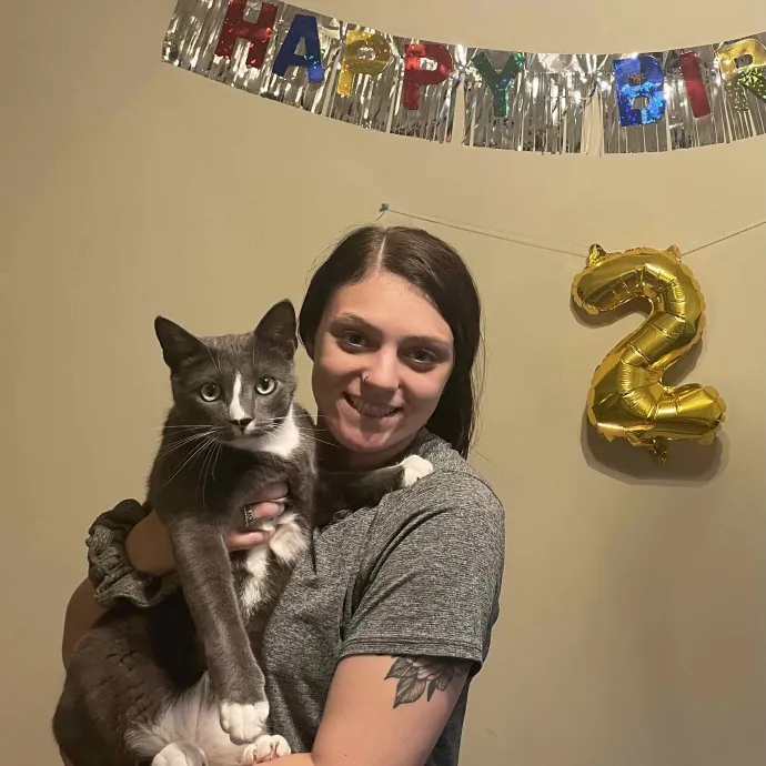 Melissa's Knox Kitty Care
