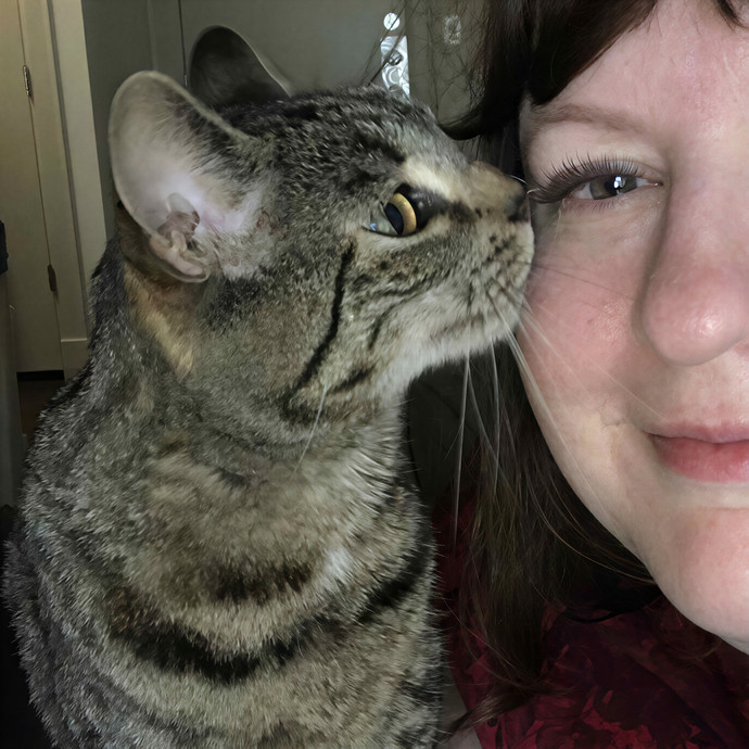 Houston Happy Cat Sitter