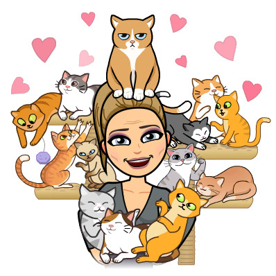 Cat Care And Beyond