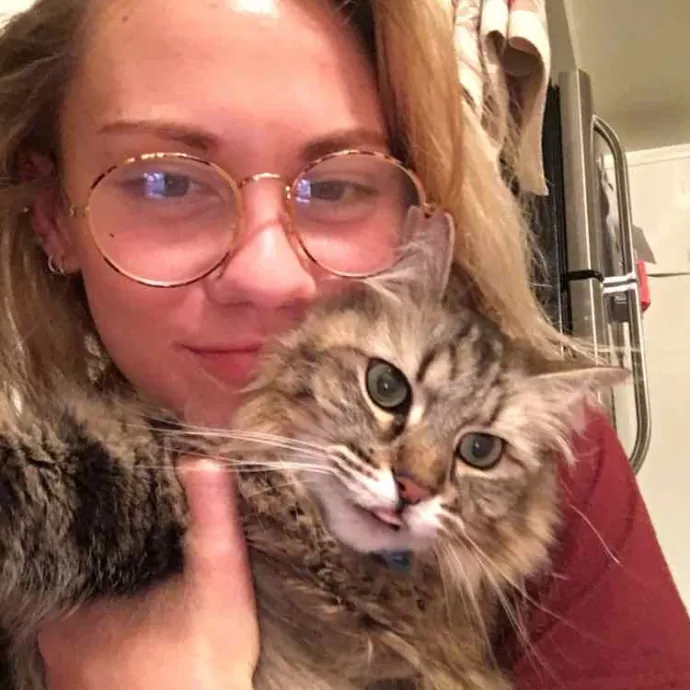Meowvelous Cat Care