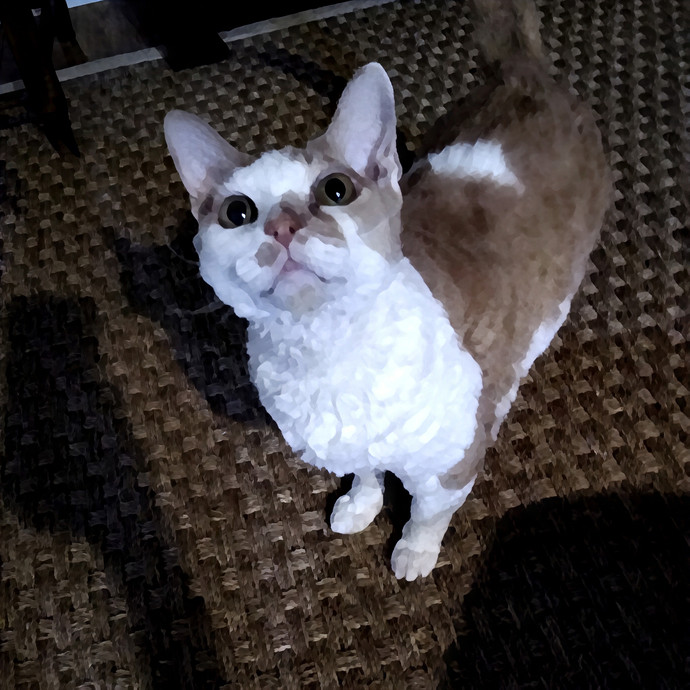 Mewow Kitty Sitter