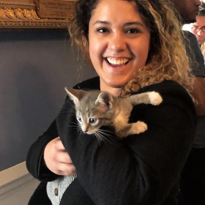 Annabelle's Cat Sitting photo 3