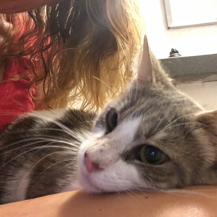Amy Palmer Purrfessional photo 3