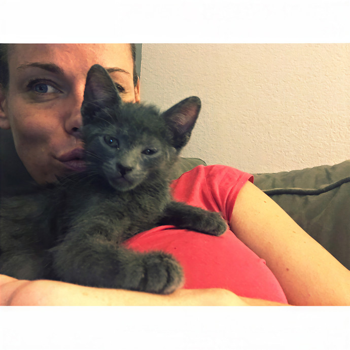 Amy Palmer Purrfessional photo 2