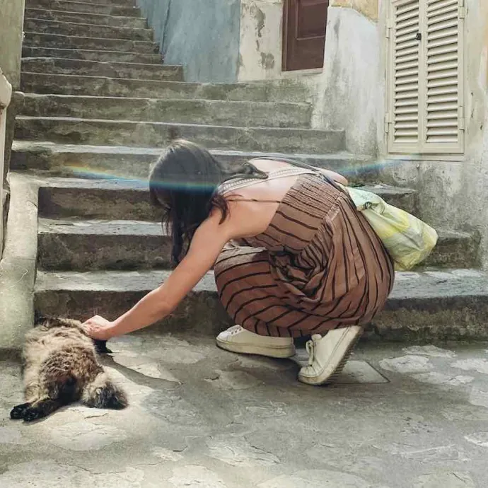 Le Chat Merveilleux - Arvada Cat Sitter photo 2
