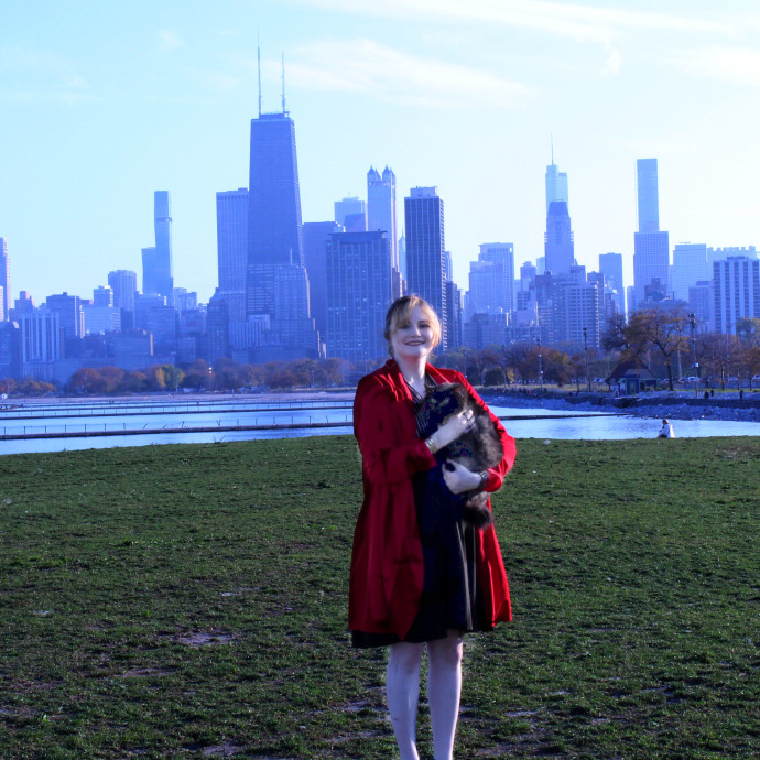 The Unofficial Chicago Cat Whisperer photo 2